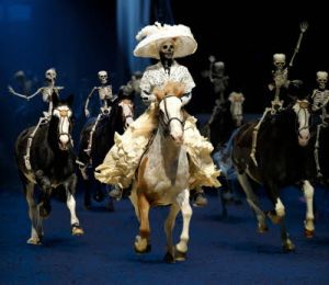 Le théâtre équestre de Zingaro